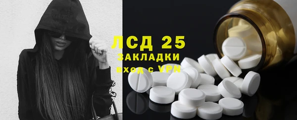 спайс Бородино