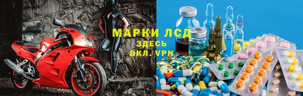 спайс Бородино