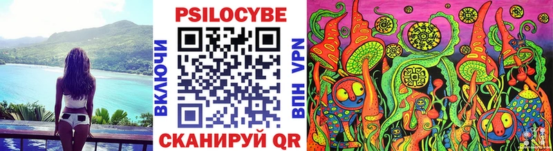 Галлюциногенные грибы мицелий  купить   Гудермес 